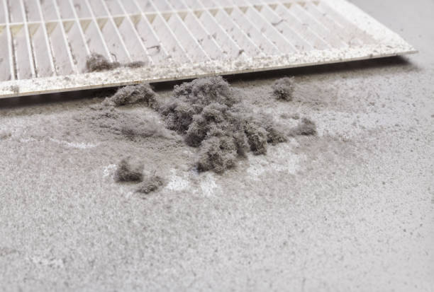 Best Dryer Vent Cleaning Services  in Walworth, WI