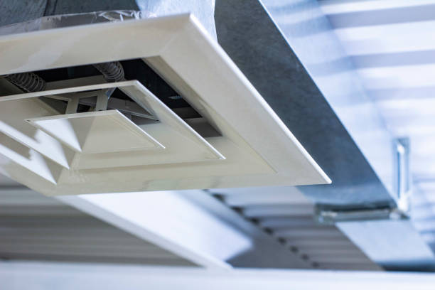 Best Home Air Vent Cleaning  in Walworth, WI