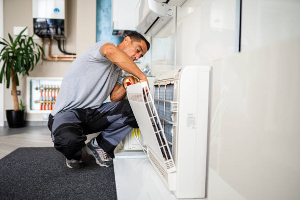 Best Air Duct Cleaning Near Me  in Walworth, WI