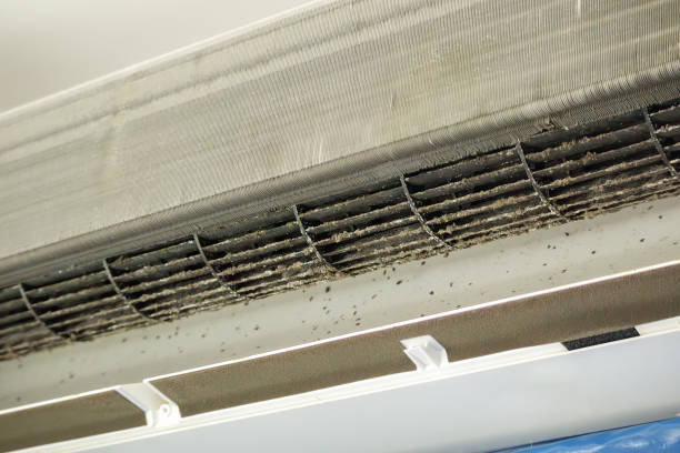 Best Duct Cleaning Specialists  in Walworth, WI