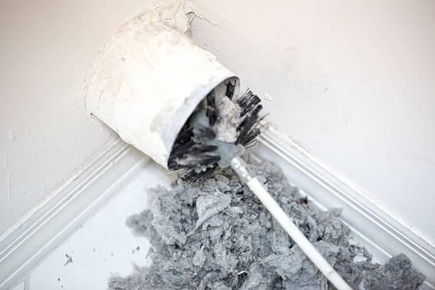 Best Air Duct Cleaning Near Me  in Walworth, WI